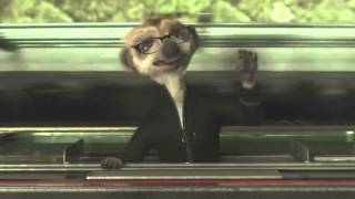 preview picture of video '‪Compare The Meerkat - Commercial 2‬7‪ (‬Agent Maiya‪)‬'