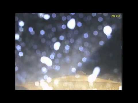 DANIEL SANCHEZ & MULDER - SOONER OR LATER