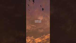 Download lagu Takdir Allah selalu Indah | #katakata #quotes #short #wastory #storywa #motivasi mp3 Download lagu Takdir Allah selalu Indah | #katakata #quotes #short #wastory #storywa #motivasi mp3