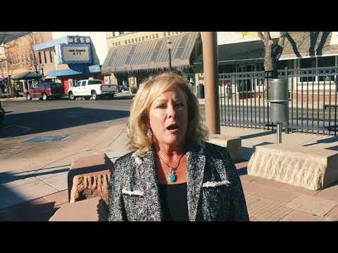 Polly for Treasurer - Lock the Revolving Door