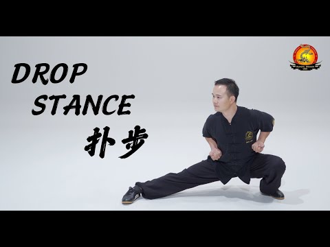 Kung Fu Dragon USA Online Tutorial: Basic Stance  - Drop Stance / 扑步