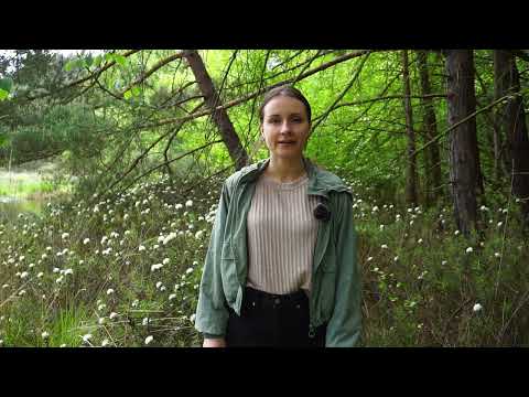 Lehrvideoreihe Grundlagen der Moorökologie: Was ist Moor? (1/4)