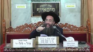 זרע שמשון - לפרשת תזריע - הרב יוסף חיים אוהב ציון