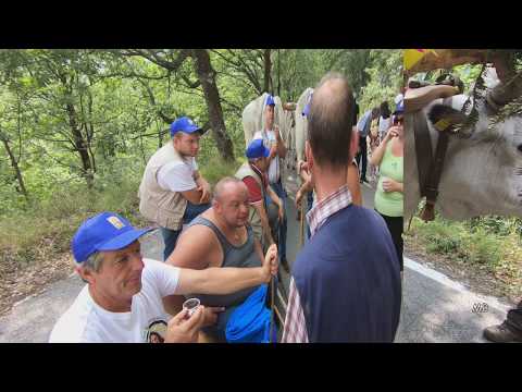 Viggianello San Francesco di Paola 2018