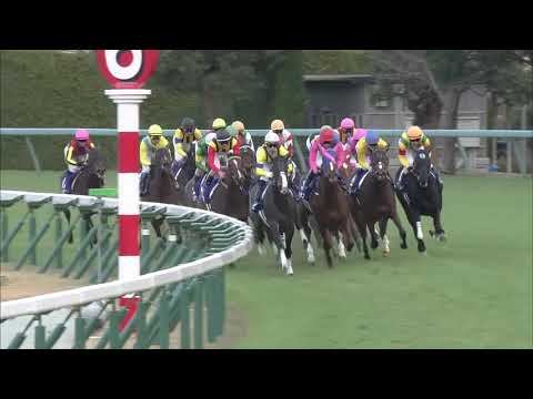 2018 Hanshin Juvenile Fillies (G1)
