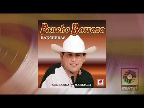 Pancho Barraza - Llorando una Pena (Official Visualizer)