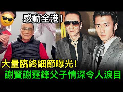 感動全港！謝賢臨終大量細節曝光，同謝霆鋒父子情深令人淚目，點解9成遺產留畀張栢芝？