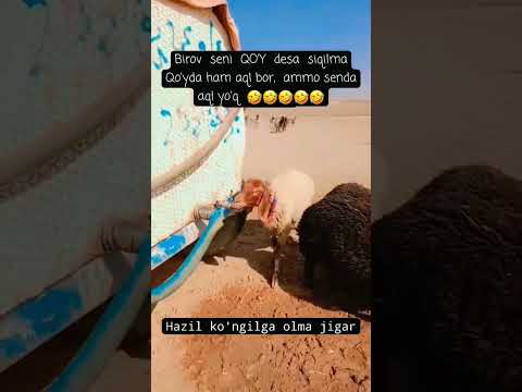 Obuna bo'ling🍃💫BUNDAN QIZIQ VIDYOLAR HALI OLDINDA... #keşfet #trend #love