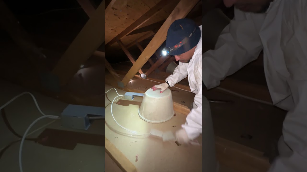 Attic Insulation Removal and Replacement!