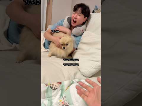 아빠의 키링이 된 갱이씨