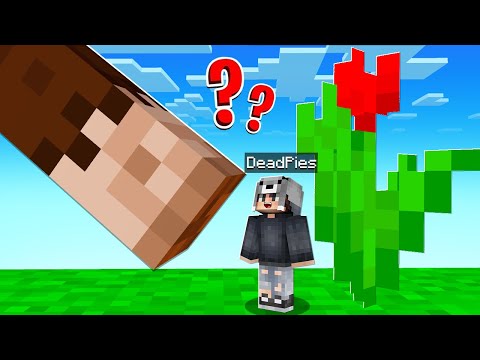 SAKLAMBAÇTA HİLE İLE TROLLEDİM 😱 - Minecraft