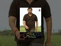 420 Movie 1992 Telugu Full Movie Nagendra Babu Subhalekha Sudhakar