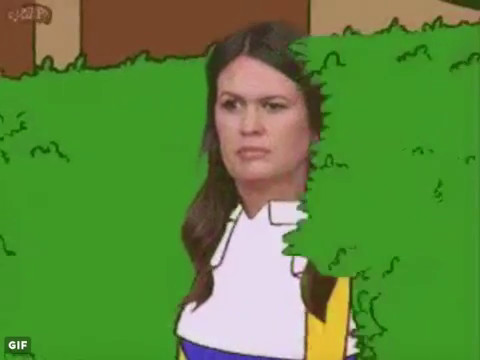 Spicer & Friends in the bushes