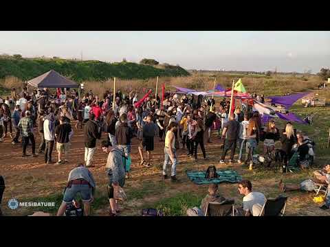 Crow on a stick - 23.2.19 - עורב על מקל