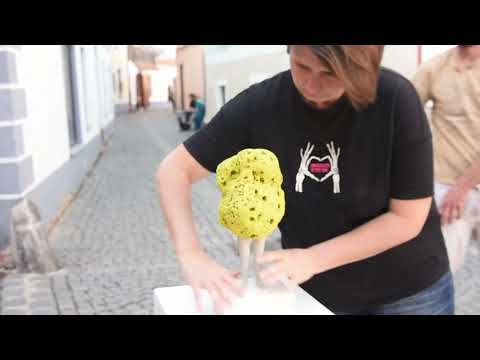 Z lodního kontejneru galerie. Proplujeme s uměním města