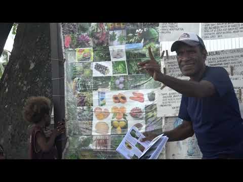 NGUNA JUICE BY INTENA NUNA OF SALAMAUA MOROBE PROVINCE PNG