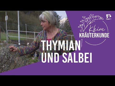 Thymian und Salbei | Mini Kräuterkunde mit Ruth Pfennighaus