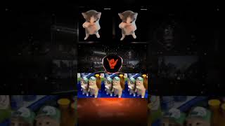 Download lagu DJ KICAU KICAU KICAU MANIA SLOW VIRAL TIKTOK TERBARU 2026 mp3