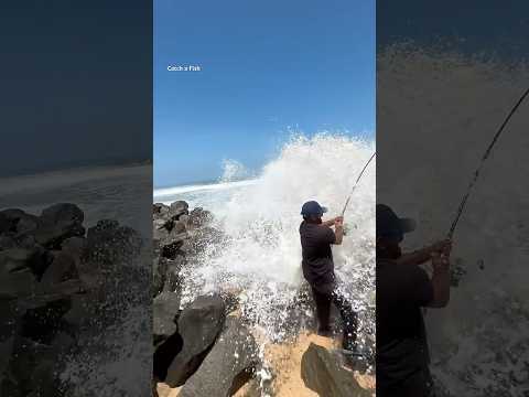 ഒന്നാന്തരം കടലടി കിട്ടി #keralafishing #shorts