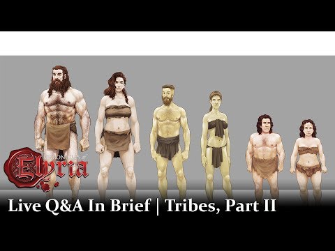 Latest Live Stream Q&A Reveals More Tribes Information