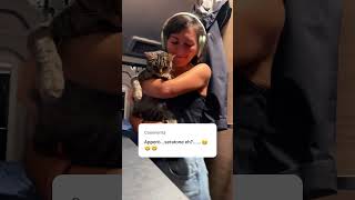 Download lagu Venerdì sera in camper #vanlife #disco #discoteca #weekend #cat #catlover #camperlife #gatto mp3 Download lagu Venerdì sera in camper #vanlife #disco #discoteca #weekend #cat #catlover #camperlife #gatto mp3