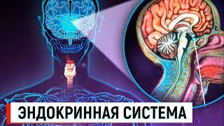 Что будет, если ЕСТЬ ЧЕСНОК каждый день?