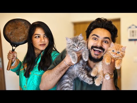ഞാൻ 2 Cat വാങ്ങി വീട്ടിൽ എത്തിയപ്പോൾ 😂 WIFE REACTION 🤣 UNBOXINGDUDE l