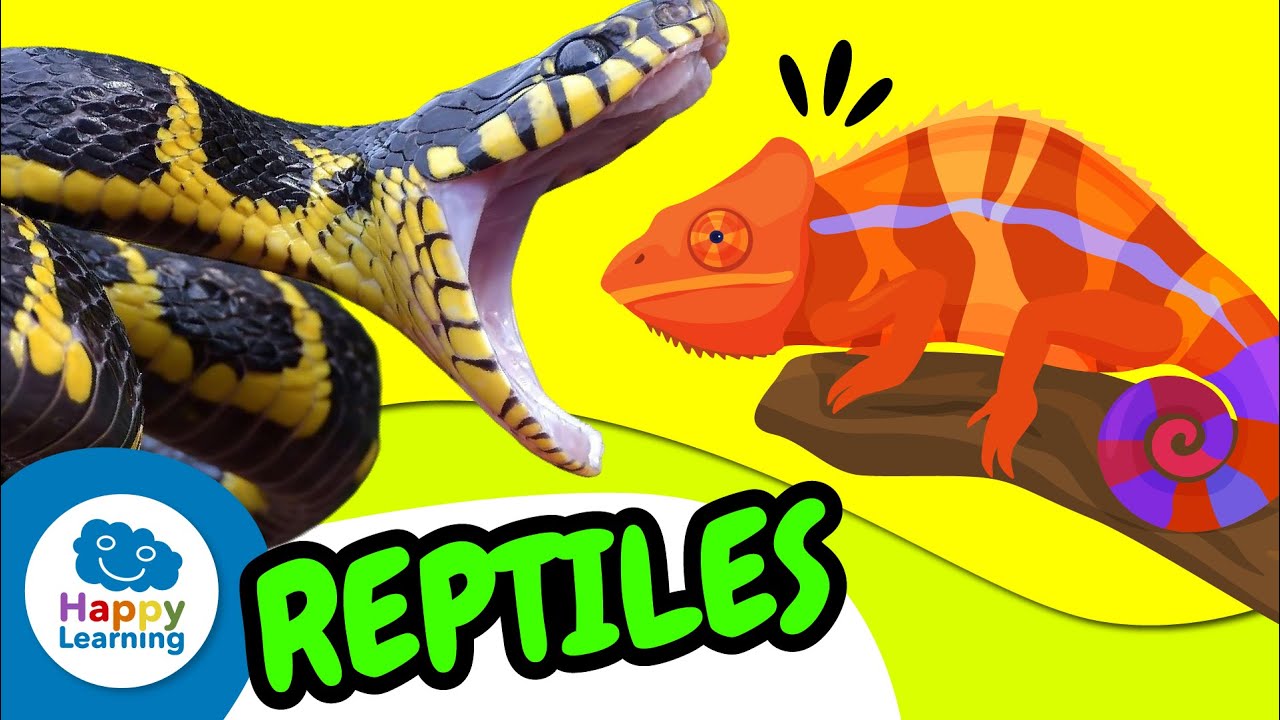 🐍 LOS REPTILES | ¡Curiosidades y Tipos! | Vídeo Educativo para Niños | Happy Learning