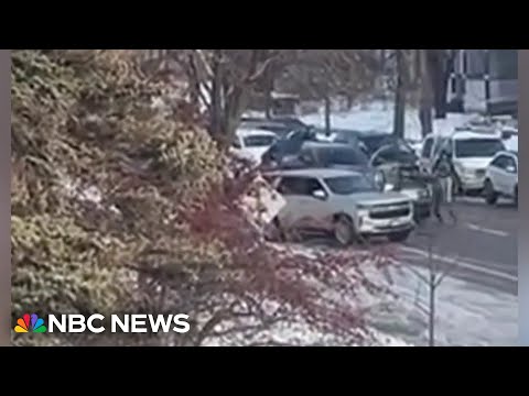 Investigators to look at key moments in deadly ICE shooting video 