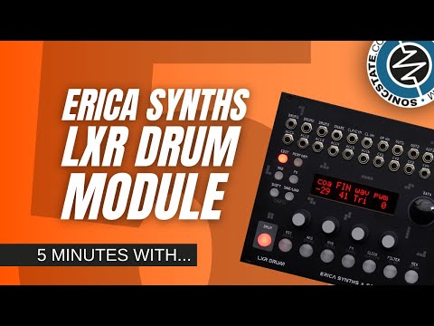 Erica Synths LXR Drum Eurorack Module image 2
