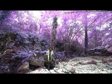 Map's kartel ft Gagala - Pélapélaka 🦋