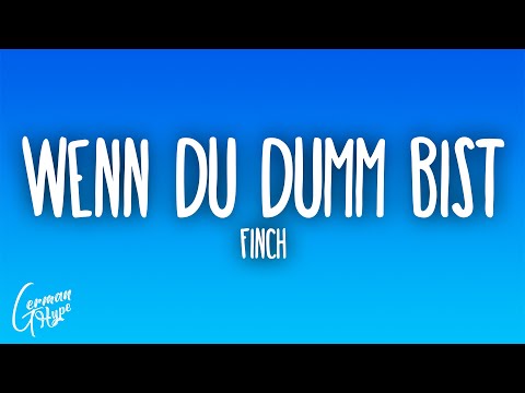 FiNCH - WENN DU DUMM BiST