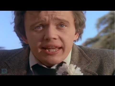 Harry O - Season 02 - Episode 21 -The Mysterious Case of Lester and Dr  Fong - Entertainment Pitstop