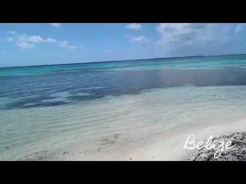 Half Moon Caye, Lighthouse Reef Atoll, Belize