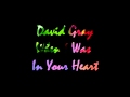 David Gray "When I Was In Your Heart"