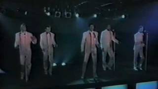 A Fine Mess Music Video
