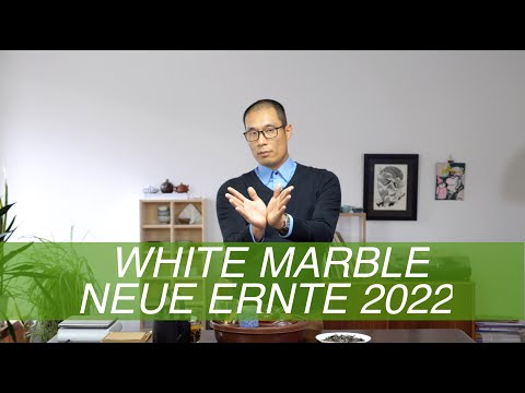 Tea Addicts 2022 - Vietnam Pluck and Play One Leaf One Bud Yue Guang Bai White Marble