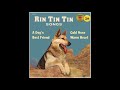 Cold Nose Warm Heart Golden Records