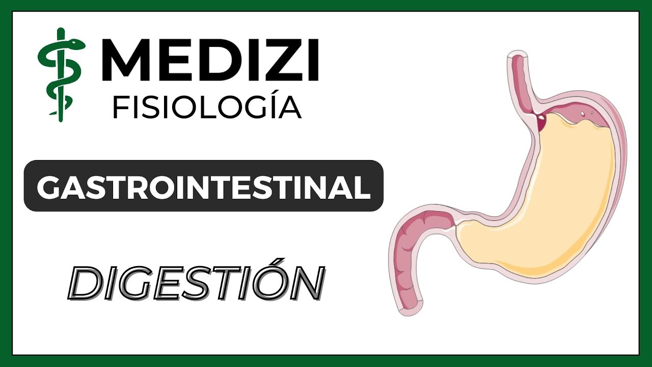 Clase 53 Fisiología Gastrointestinal - Digestión en el tubo digestivo (IG:@doctor.paiva)
