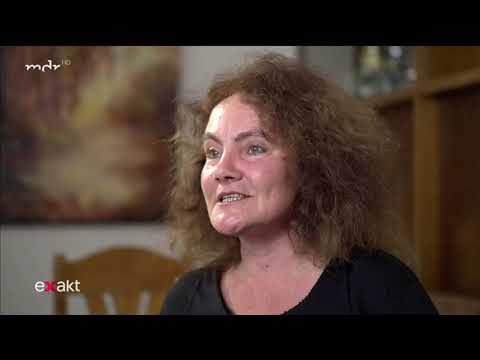 Nach-Richten: Scholzversteher gegen Putinversteher in allen Staatsmedien - Susan Bonath Alina Lipp