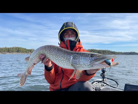 Hechtangeln im Frühjahr in Schweden