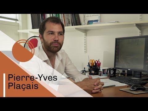 Pierre-Yves Plaçais | CNRS
