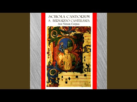 Resta con noi signor