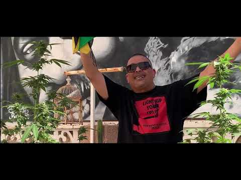 Reality Souljah/SoulFood