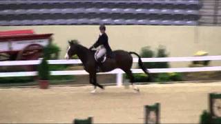 Video of NEEDLESS TO SAY ridden by POSEY OBRECHT from ShowNet!