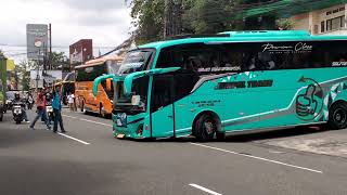 Download lagu Hunting bus di pusat oleh² bakpia bandara jaya ada silverstone ,komang,kenzie dan raxsanagara. mp3