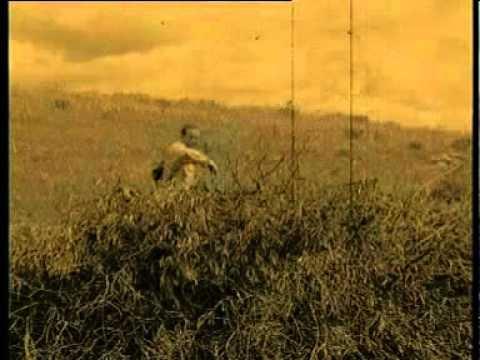 Imenso Sul - Meus senhores - Adiafa