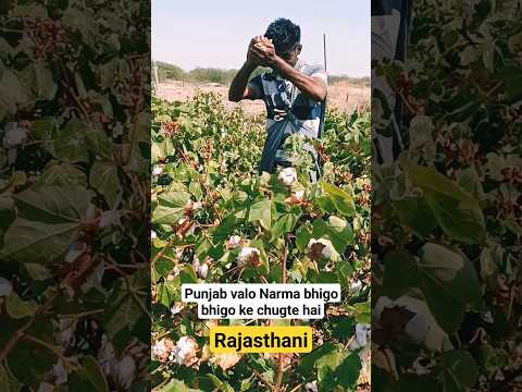 #narman #viral #trending #shorts