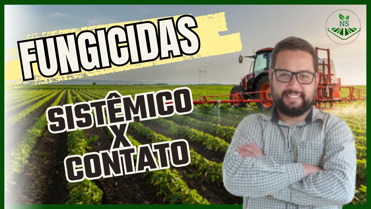Entenda Quando UTILIZAR o FUNGICIDA SISTÊMICO ou de CONTATO