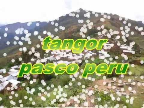 tangor pasco peru